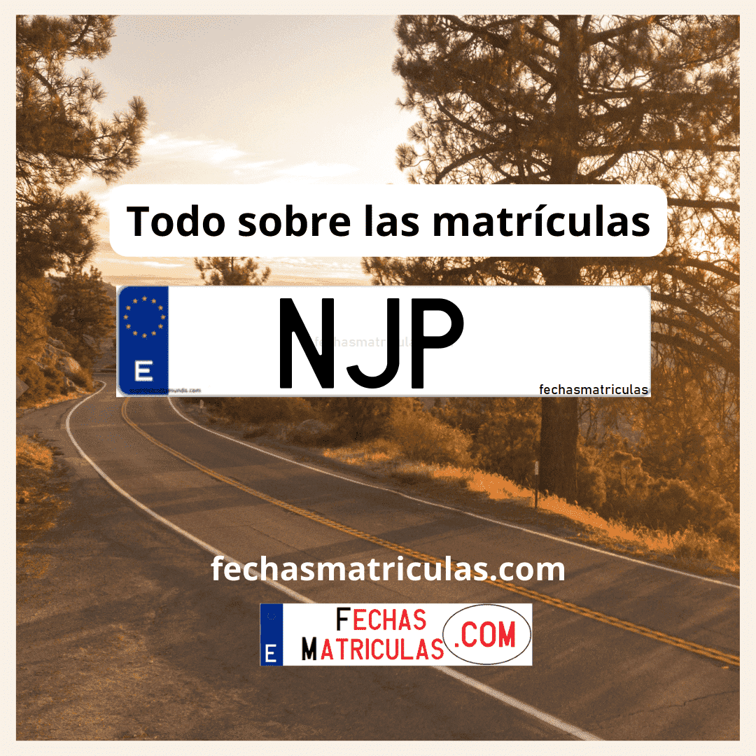 Matrícula de coche NJP