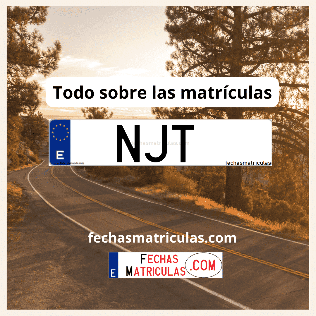 Matrícula de coche NJT