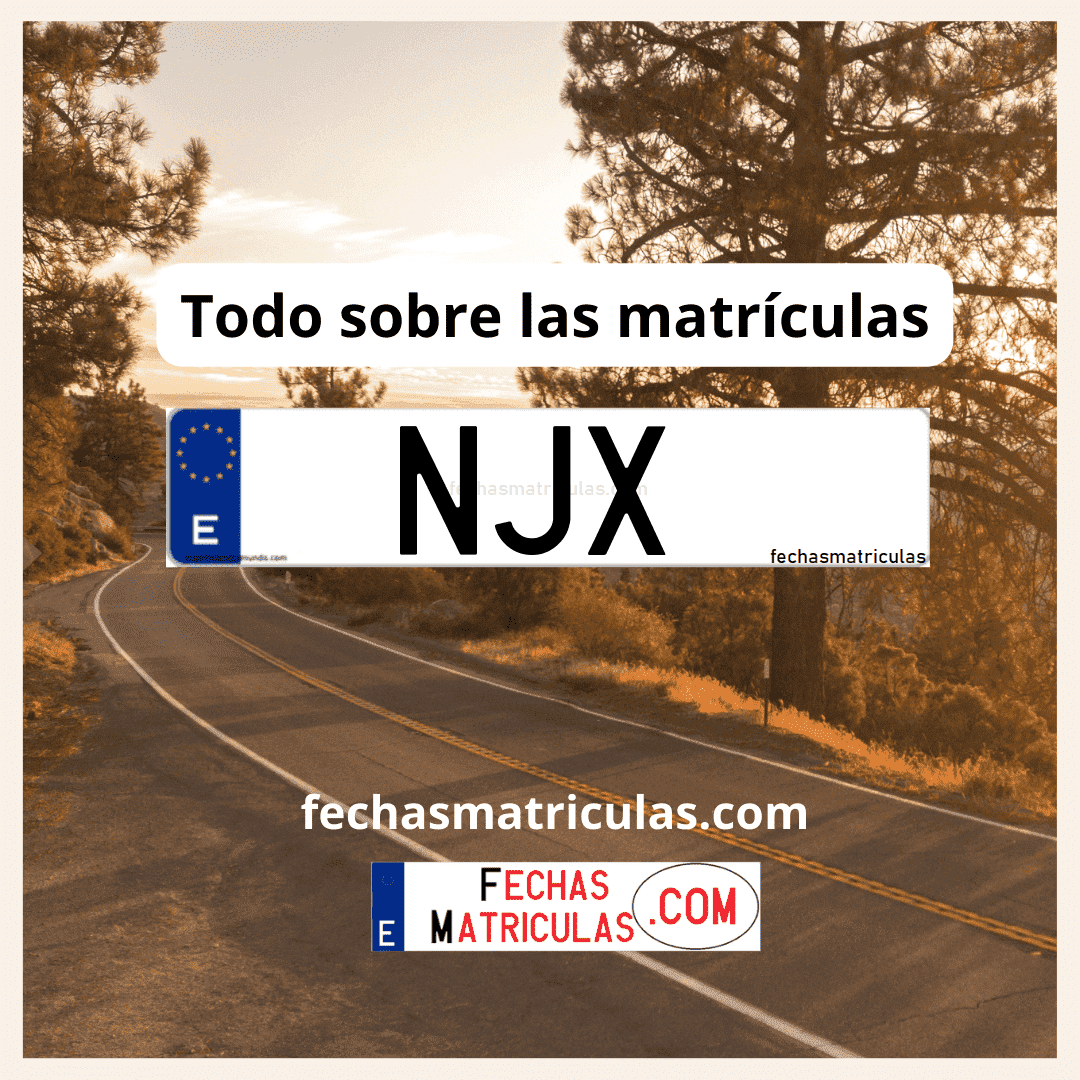 Matrícula de coche NJX